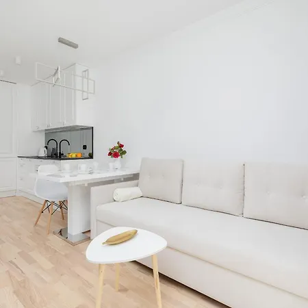 Kamienica Boguslawa X Nr 29-19 By Renters Appartement Szczecin